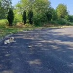 Ανεξέλεγκτα τα αδέσποτα ζώα στη Βιομηχανική Περιοχή Ιωαννίνων