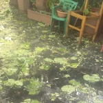Δροσοχώρι Ιωαννίνων: Ισχυρή χαλαζόπτωση προκάλεσε ζημιές σε αμπέλια και κηπευτικά (βίντεο)