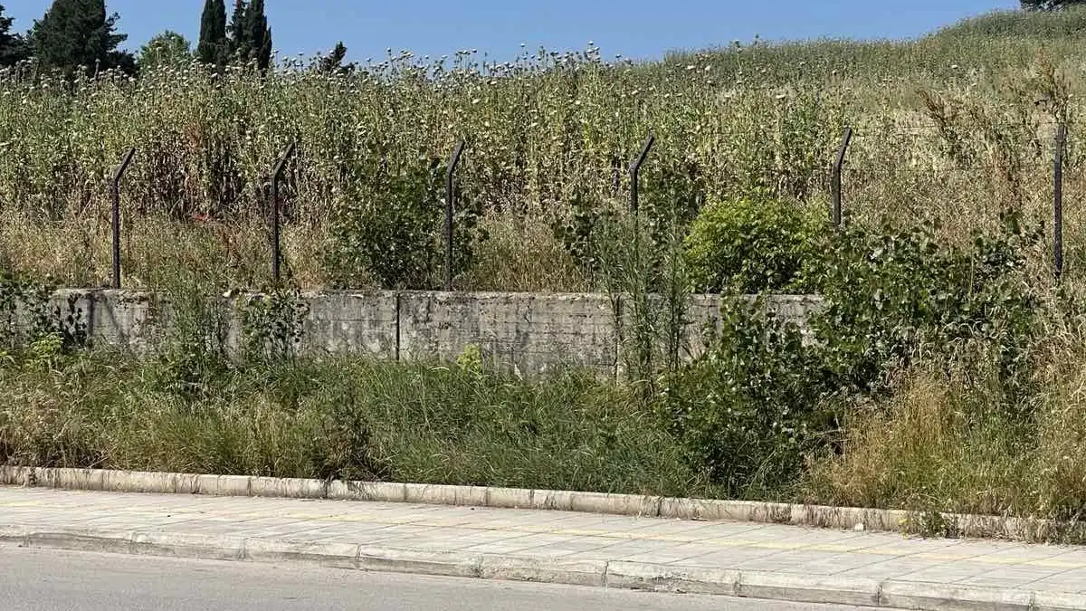 Τα χόρτα αρχίζουν να “πνίγουν” τις νησίδες στα Ιωάννινα