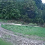 Παράνομη υλοτομία δίπλα σε γεώτρηση στη Χρυσοβίτσα – Ανησυχία για την ποιότητα του πόσιμου νερού