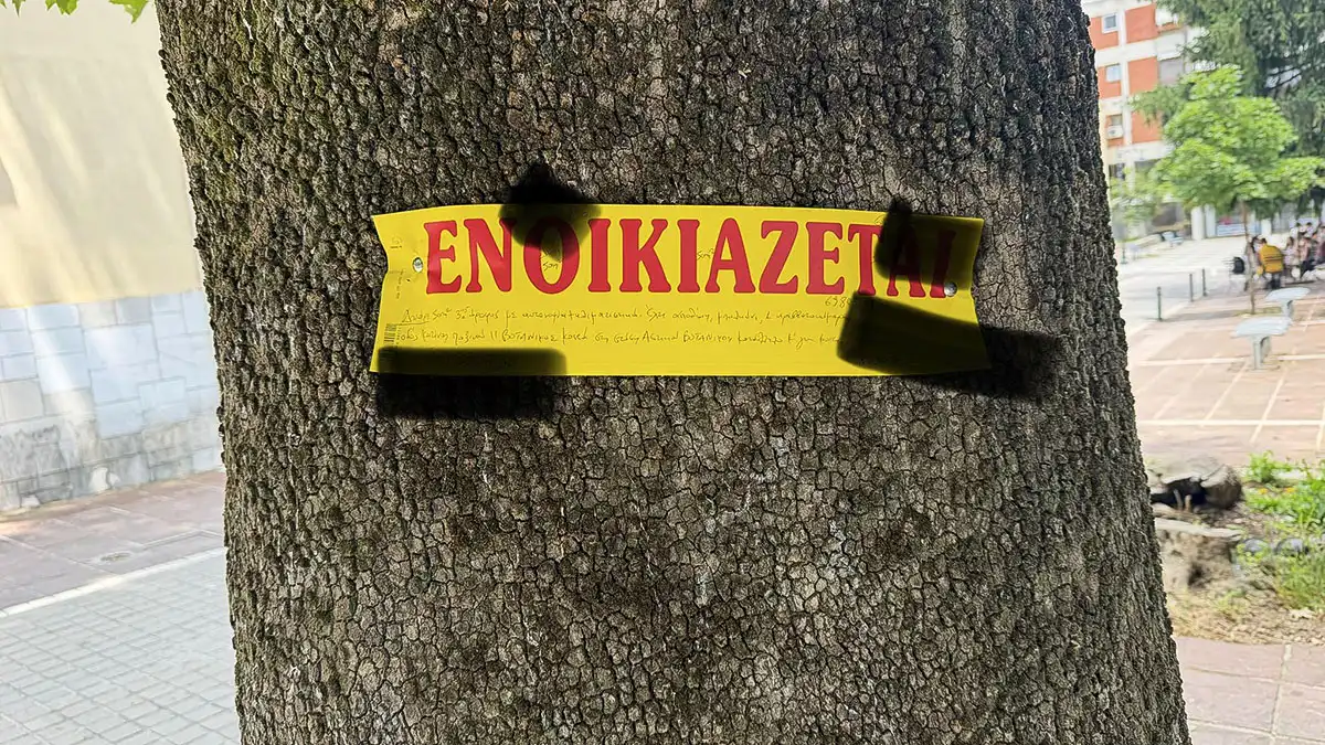 Πέτρος Παλάσχας: Τα δέντρα της πόλης δεν είναι πίνακες ανακοινώσεων