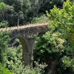 Αυτοψία στο Μονοπάτι του Αγίου Αθανασίου Πέρδικας από το Δήμαρχο Ηγουμενίτσας