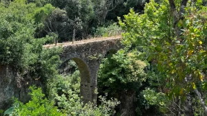 Αυτοψία στο Μονοπάτι του Αγίου Αθανασίου Πέρδικας από το Δήμαρχο Ηγουμενίτσας