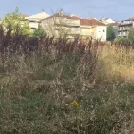 Ακαθάριστα οικόπεδα: Σήμερα λήγει η προθεσμία για τις δηλώσεις, από αύριο έλεγχοι και πρόστιμα