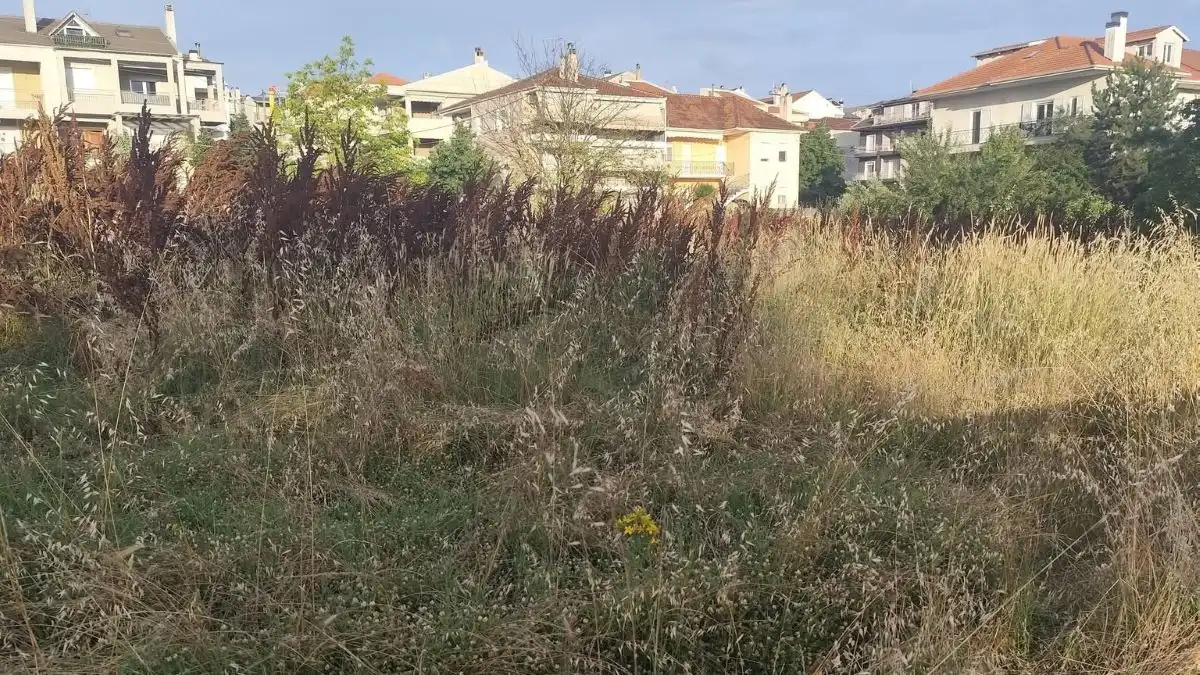 Ακαθάριστα οικόπεδα: Σήμερα λήγει η προθεσμία για τις δηλώσεις, από αύριο έλεγχοι και πρόστιμα