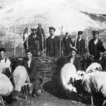 Μετακινούμενη κτηνοτροφία: «Ταφόπλακα» η απαγόρευση μετακίνησης των ζώων