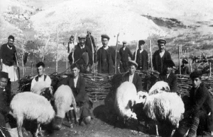 Μετακινούμενη κτηνοτροφία: «Ταφόπλακα» η απαγόρευση μετακίνησης των ζώων