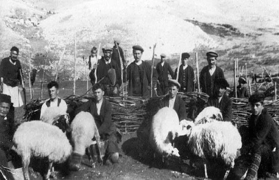 Μετακινούμενη κτηνοτροφία: «Ταφόπλακα» η απαγόρευση μετακίνησης των ζώων