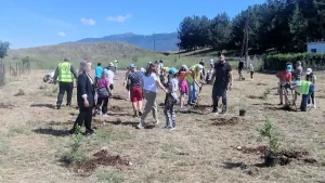 Ο Δήμος Ζίτσας γιόρτασε την Παγκόσμια Ημέρα Περιβάλλοντος με εθελοντική δράση δενδροφύτευσης