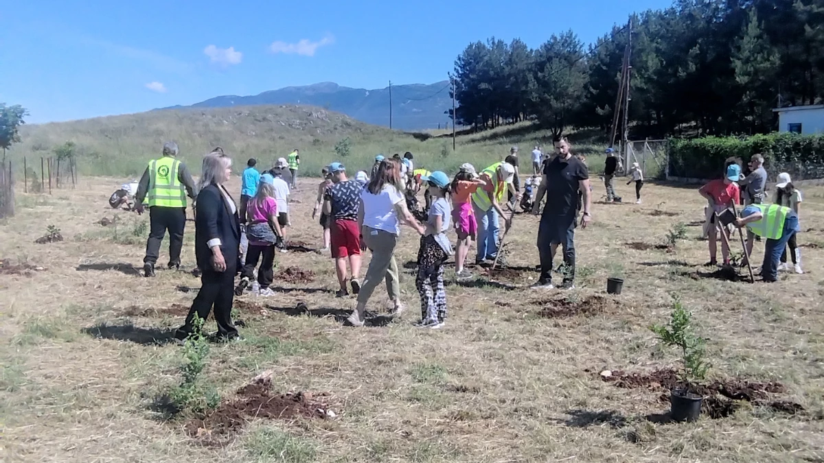 Ο Δήμος Ζίτσας γιόρτασε την Παγκόσμια Ημέρα Περιβάλλοντος με εθελοντική δράση δενδροφύτευσης