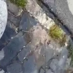 Ιωάννινα-Εθν. Αντιστάσεως: Τρέχει το νερό στο πεζοδρόμιο, εδώ και ενάμιση μήνα