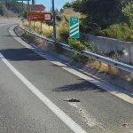 Εγνατία Οδός: Πουλερικά σκορπισμένα σε δεκάδες χιλιόμετρα