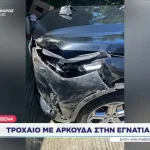 Γρεβενά: Τροχαίο με αρκούδα στην Εγνατία Οδό (βίντεο)