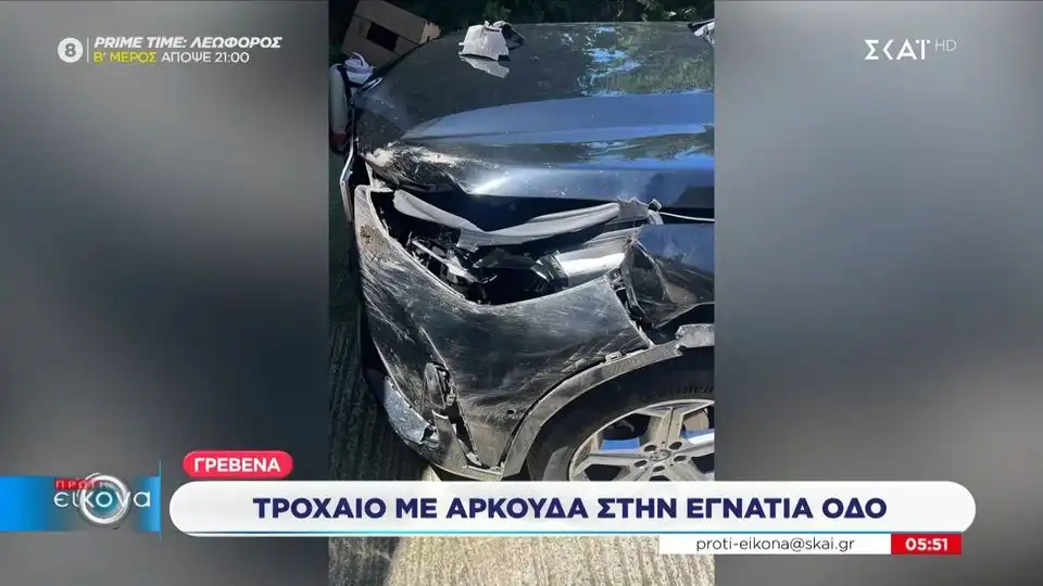 Γρεβενά: Τροχαίο με αρκούδα στην Εγνατία Οδό (βίντεο)