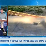 Γαστούνη: Ταυτοποιήθηκε 60χρονη για τον θανάσιμο τραυματισμό αδέσποτου σκύλου (βίντεο)