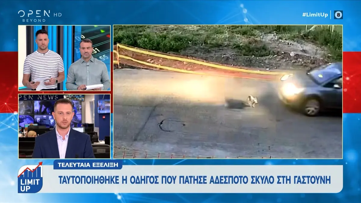 Γαστούνη: Ταυτοποιήθηκε 60χρονη για τον θανάσιμο τραυματισμό αδέσποτου σκύλου (βίντεο)
