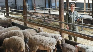 Θέση εργασίας για ζωοτέχνη από τον Γ.Α.Σ.Ι. «Ένωση αγροτών»