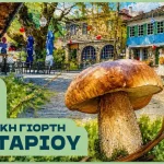 Ο Δήμος Ζαγορίου συνδιοργανωτής στην 16η Ηπειρωτική Γιορτή Μανιταριού