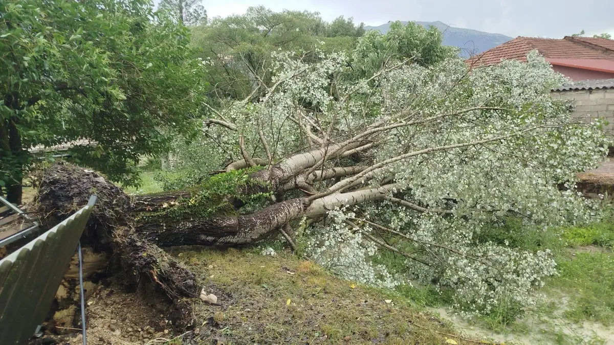 Ισχυρό μπουρίνι χτύπησε το Καλέντζι Ιωαννίνων – Ζημιές σε κηπευτικά, πτώσεις δέντρων και κλαδιών (βίντεο)