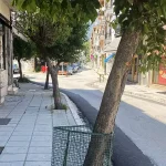Πολίτης προειδοποιεί για επικίνδυνα δέντρα στον δρόμο προς το Τζαμί Ιωαννίνων