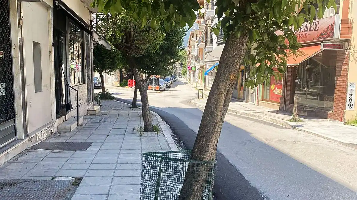 Πολίτης προειδοποιεί για επικίνδυνα δέντρα στον δρόμο προς το Τζαμί Ιωαννίνων