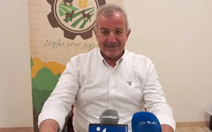 Το χαλάζι «ισοπέδωσε» τη Ζίτσα – Κατσανάκης: «Μέσα σε μισή ώρα χάθηκε μία από τις καλύτερες χρονιές»