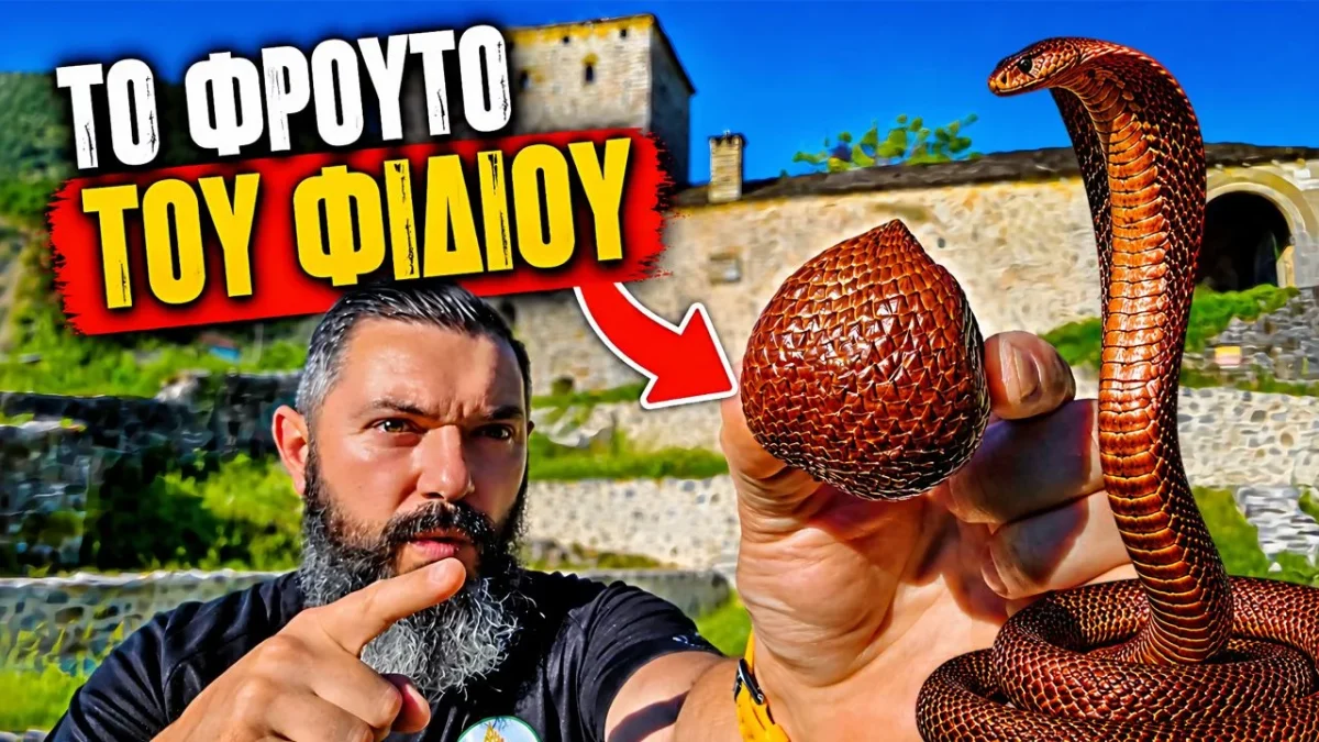 ΤΟ ΦΡΟΥΤΟ ΤΟΥ ΦΙΔΙΟΥ! Δοκίμασα το πιο παράξενο εξωτικό φρούτο | Snake Fruit (Salak) – Αξίζει;