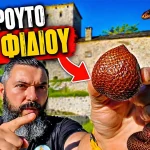 ΤΟ ΦΡΟΥΤΟ ΤΟΥ ΦΙΔΙΟΥ! Δοκίμασα το πιο παράξενο εξωτικό φρούτο | Snake Fruit (Salak) – Αξίζει;