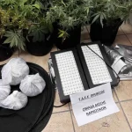 Πρέβεζα: Σύλληψη για καλλιέργεια κάνναβης και κατοχή ναρκωτικών (φωτογραφίες)