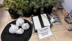 Πρέβεζα: Σύλληψη για καλλιέργεια κάνναβης και κατοχή ναρκωτικών (φωτογραφίες)