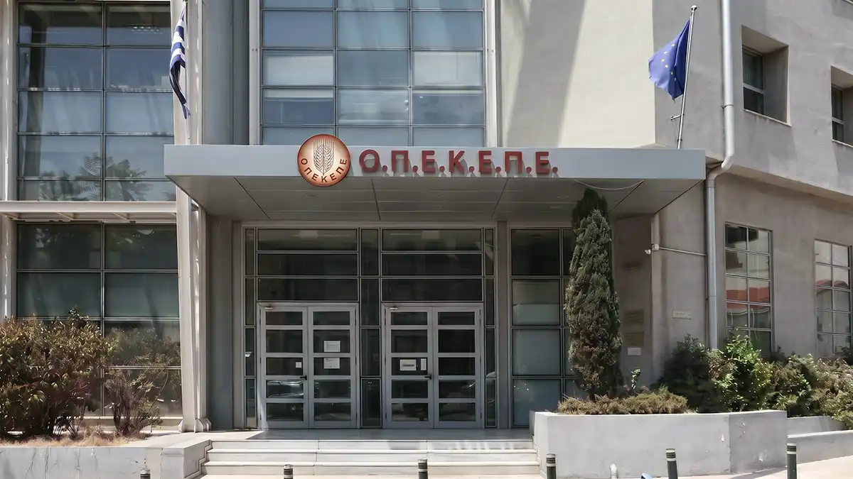 Kύκλωμα ΟΠΕΚΕΠΕ: Σε εξέλιξη νέα επιχείρηση των Αρχών σε Κοζάνη και Αγρίνιο – Συνελήφθησαν 13 άτομα (βίντεο)
