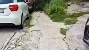Ιωάννινα-Οδός Λίνας Τσαλδάρη: Ζητούνται παρεμβάσεις για την ασφάλεια των πεζών