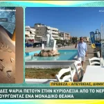 Πρέβεζα: Γιατί τα ψάρια βγαίνουν στη στεριά κάθε καλοκαίρι (βίντεο)