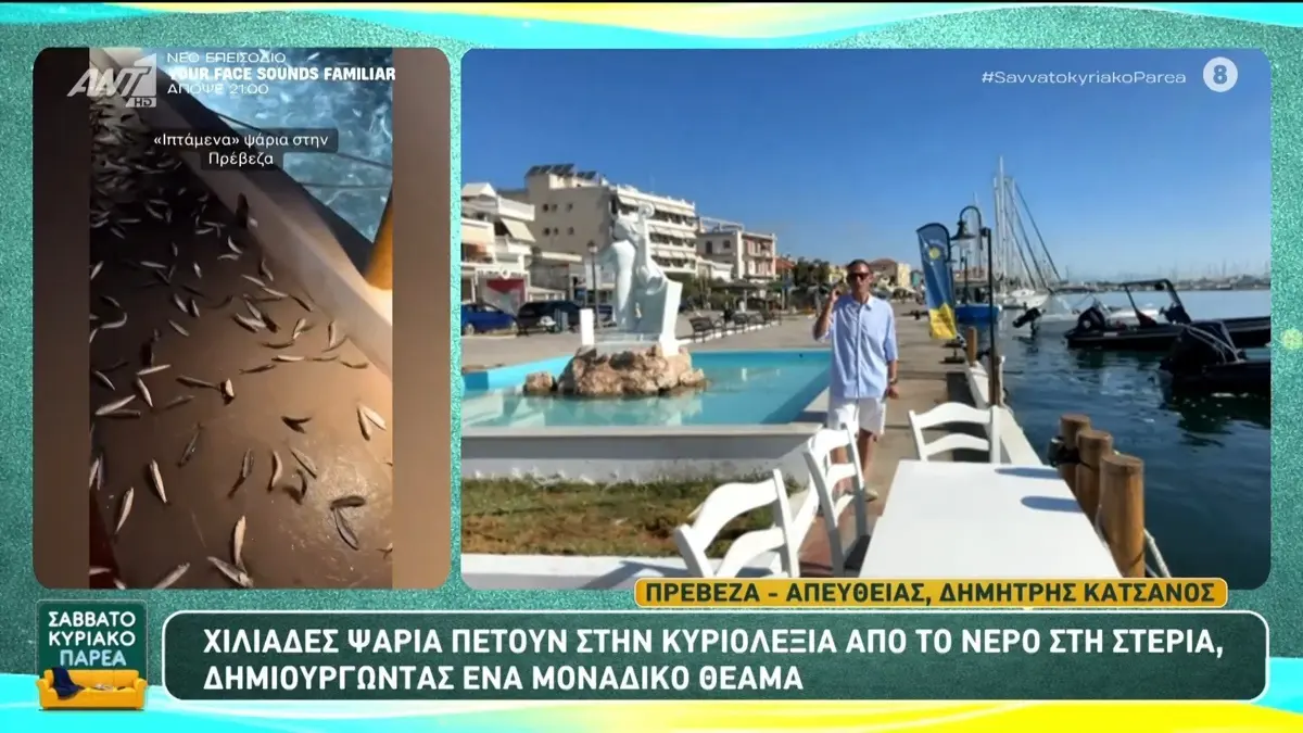 Πρέβεζα: Γιατί τα ψάρια βγαίνουν στη στεριά κάθε καλοκαίρι (βίντεο)