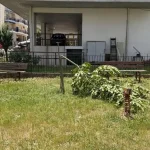 Δήμος Ιωαννιτών: Ανεγκέφαλοι έκοψαν με πριόνι δέντρο στο πάρκο τσέπης στους Αμπελόκηπους