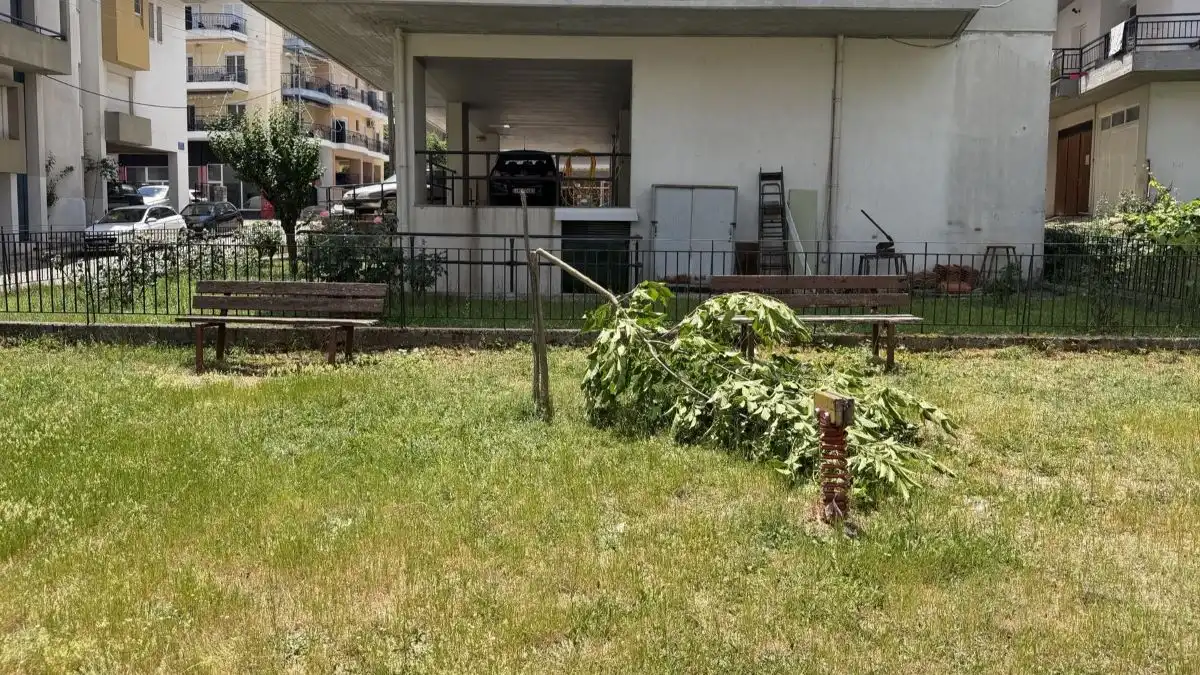 Δήμος Ιωαννιτών: Ανεγκέφαλοι έκοψαν με πριόνι δέντρο στο πάρκο τσέπης στους Αμπελόκηπους