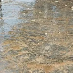 Καρδαμίτσια: Υπόγεια διαρροή νερού καταγγέλλουν κάτοικοι
