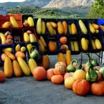 Η Ευρώπη κόβει τα κονδύλια που γεννούν εξαγωγές – Στο στόχαστρο η προβολή των αγροτικών προϊόντων