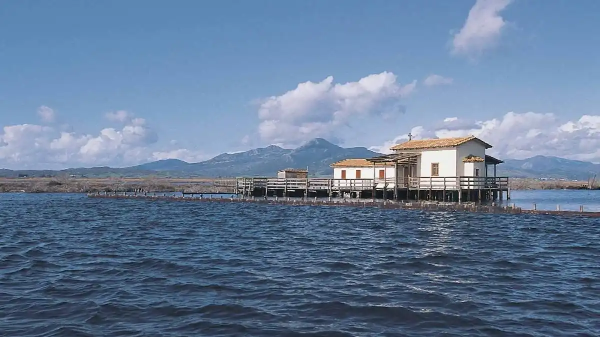 Πρόταση 5 εκατ. ευρώ από την ΠΕ Άρτας για την προστασία των λιμνοθαλασσών και της βιοποικιλότητας