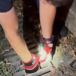 Ιωάννινα: Πυροσβεστική και Δήμος απεγκλώβισαν γατάκι από φρεάτιο ομβρίων (βίντεο)