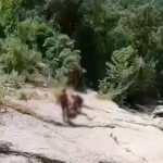 Τραγωδία στη Βόνιτσα: Νεκρός ανασύρθηκε άνδρας από το φαράγγι Τρύφου (video)