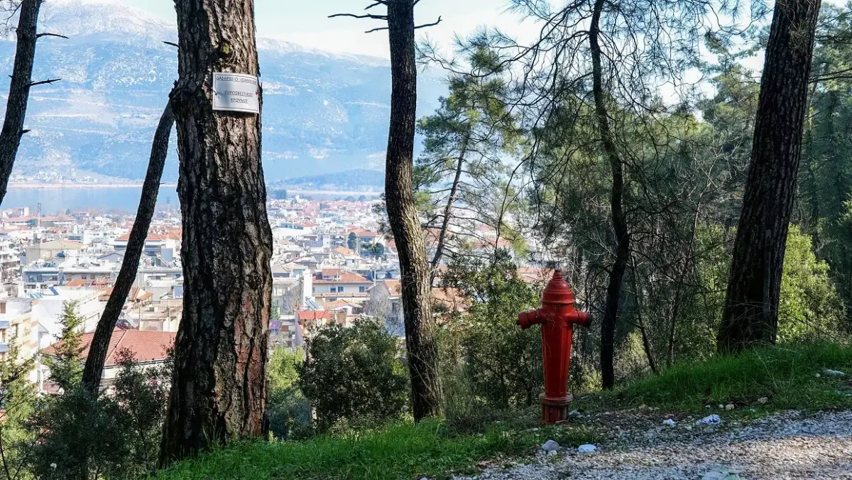 Κατηγορία κινδύνου 3 στα Ιωάννινα – Απαγόρευση πρόσβασης σε δάση και άλση