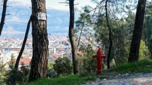 Κατηγορία κινδύνου 3 στα Ιωάννινα – Απαγόρευση πρόσβασης σε δάση και άλση