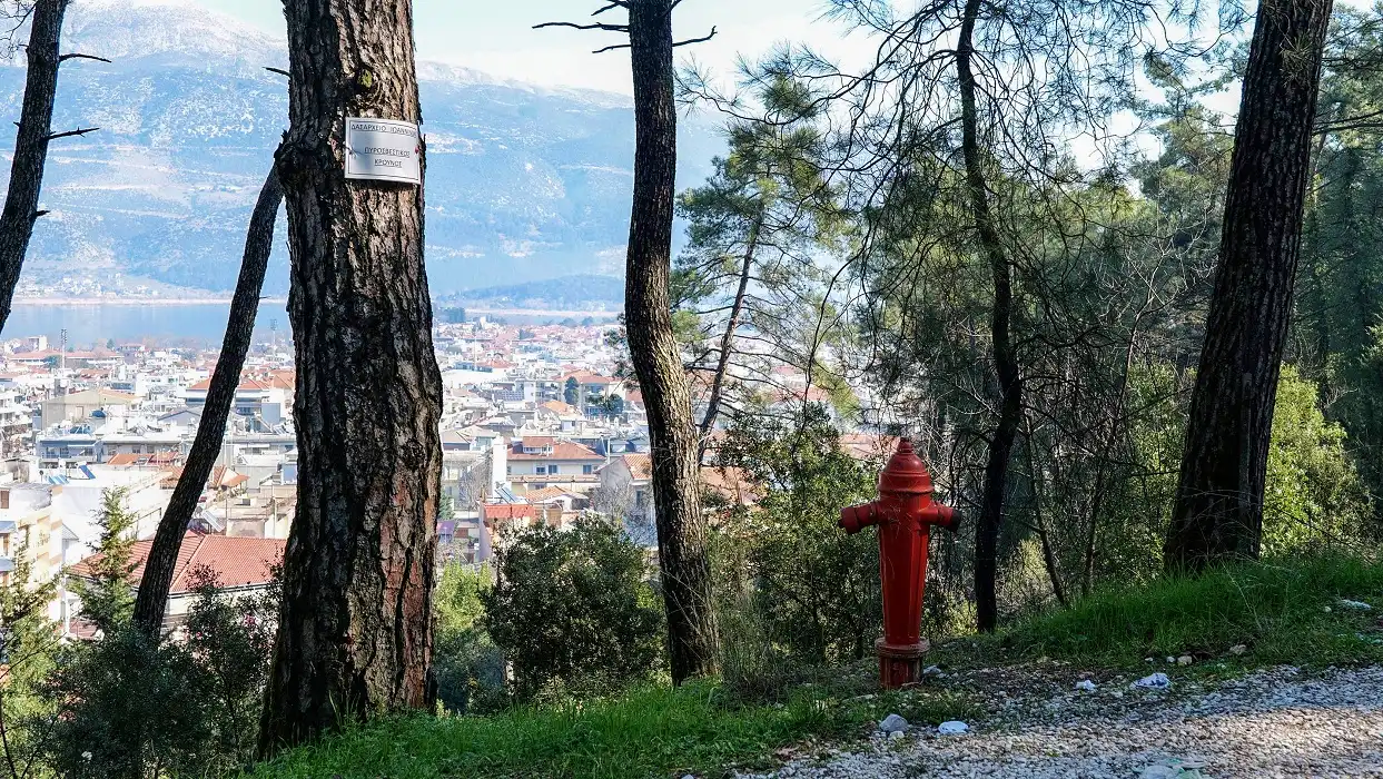 Δήμος Ιωαννιτών: Καθορισμένες οι διαδρομές εκκένωσης και το σχέδιο προστασίας για τον συνοικισμό Κολχίδας