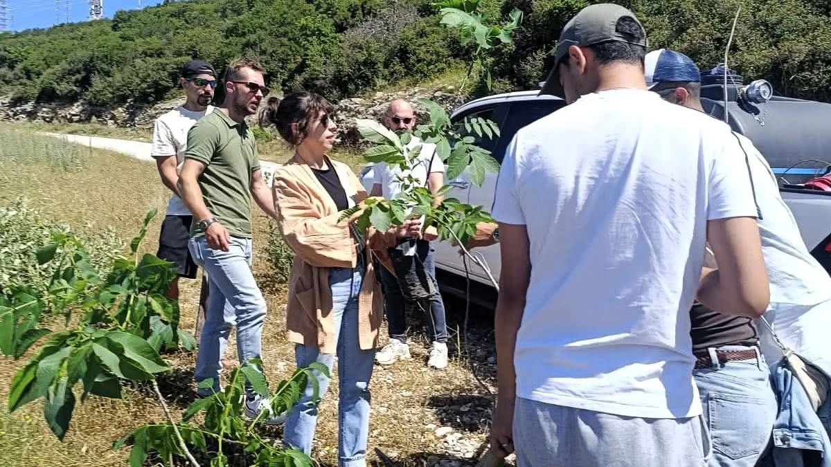 Δενδροφύτευση στους Λιγκιάδες από διεθνή ομάδα νέων στο πλαίσιο ευρωπαϊκού προγράμματος