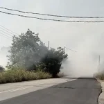 Φωτιά στα Κάτω Μάρμαρα Ιωαννίνων, δίπλα στην Περιφερειακή (βίντεο)