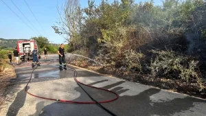 Η άμεση επέμβαση της Πυροσβεστικής απέτρεψε την εξάπλωση φωτιάς στο Θεσπρωτικό Δήμου Ζηρού