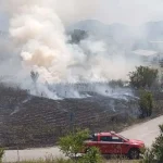 Πεδινή: Φωτιά σε ξηρά χόρτα δίπλα στην Εγνατία Οδό