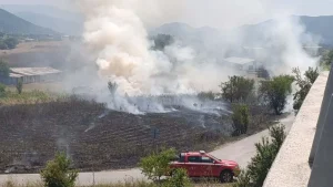 Πεδινή: Φωτιά σε ξηρά χόρτα δίπλα στην Εγνατία Οδό