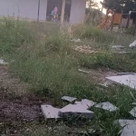 Χαροκόπι: Παιδική χαρά μέσα στα χόρτα και χωρίς φώτα – «Περιμένουν το φεγγάρι;»
